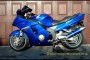Honda Blackbird