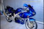 Suzuki SV