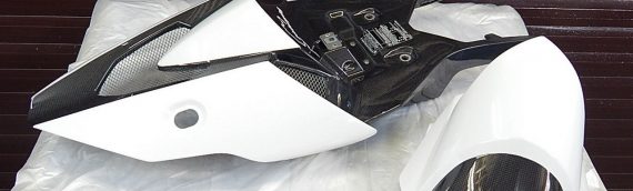 Harley Davidson HP2 2009